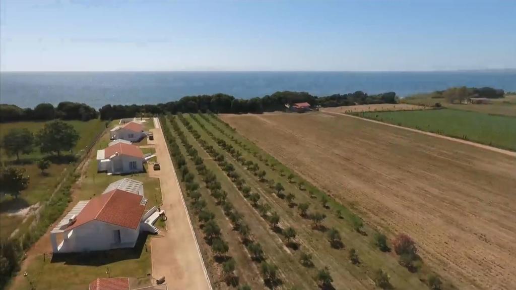 White Villas Douneika  Exteriér fotografie